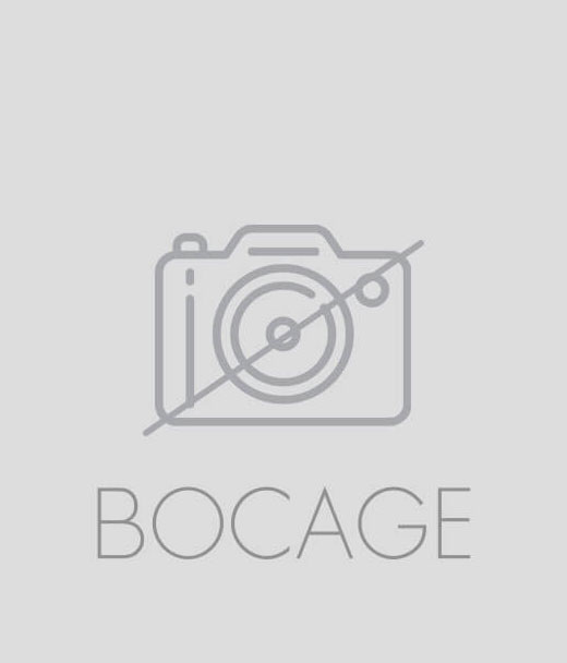 Boots en cuir lisse cognac | Bocage